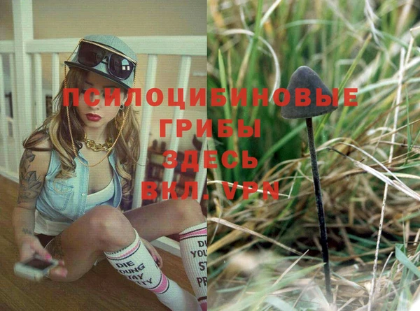 прущая мука Баксан